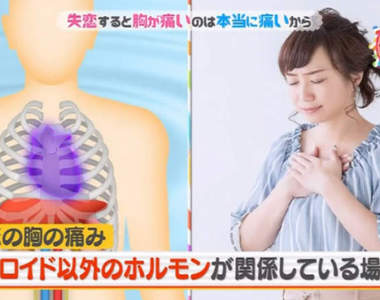 日本節目解說《失戀會心痛的理由》沒想到失戀的心痛真的是心臟在痛!?