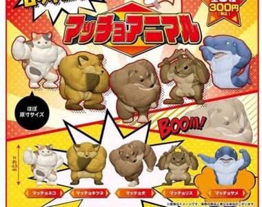 右勾拳柴犬真的扭蛋化《筋肉動物》用扭蛋重現爆筋肌肉感w