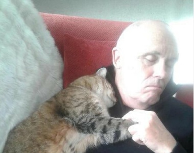 家裡沒養貓《手術醒來發現有貓陪睡》難道是因為發現需要抱抱的人？