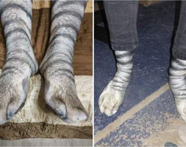 推特瘋傳《超擬真貓襪》竟然連肉球都有?穿上後有種人型巨貓的既視感是怎麼回事喵(ΦωΦ)