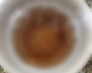 人妻告訴你如何一招解決《果蠅煩惱》自製零成本捕蠅神器把果蠅抓光光～