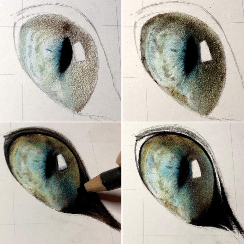 推友精心繪製 幾乎逼近照片的貓咪色鉛筆畫 揉揉眼我有沒有看錯s 口 沒看錯這是畫出來的