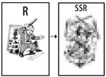 升上去就對了《R卡超絕進化SSR義交》繪師網友的趣味R→SR→SSR插圖表現  升上去就對了《R卡超絕進化SSR義交》繪師網友的趣味R→SR→SSR插圖表現