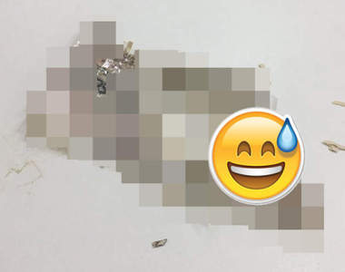 這個機率有神《鈔票飛進碎紙機裡》銀行表示:如果能一片片貼回來還可以換張新鈔給你