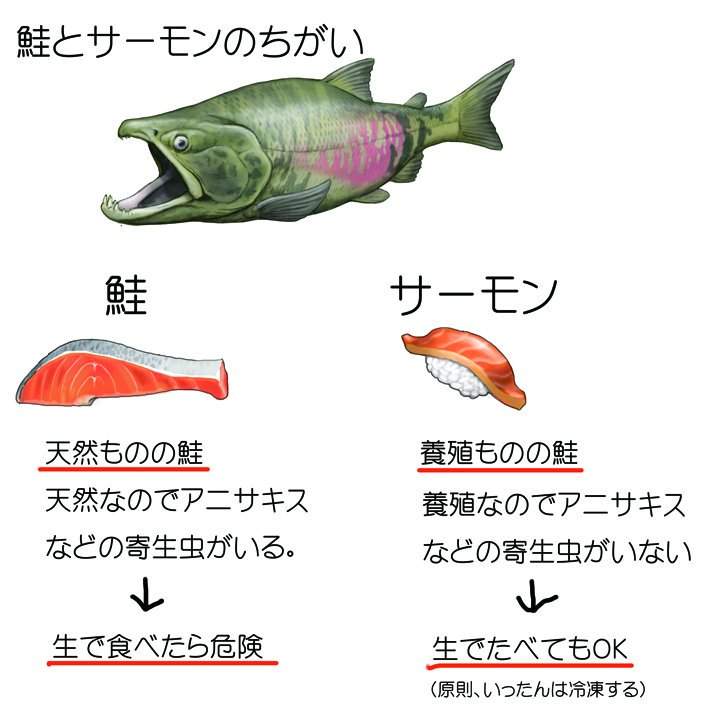日文中使用 鮭 Salmon的差別 一樣是鮭魚但在用法上原來有這樣的不同