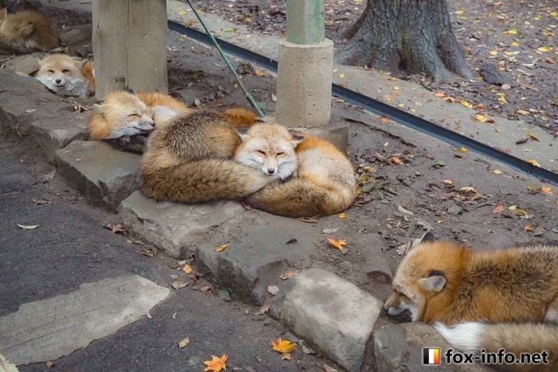 圖片3 圖片3