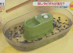 《流水珍珠奶茶》日本惡搞珍珠吃法大流行?脫離台灣走出自己的珍珠路線了…… 《流水珍珠奶茶》日本惡搞珍珠吃法大流行?脫離台灣走出自己的珍珠路線了……