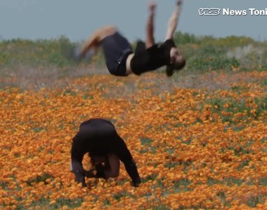 保育員疾呼《不要踩進花田拍照》為了好照片 花田快被網美們毀了...