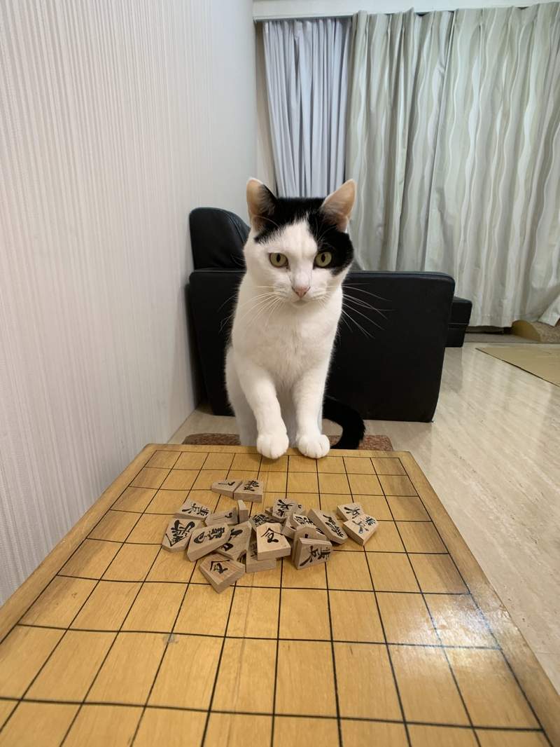 圖片3 圖片3