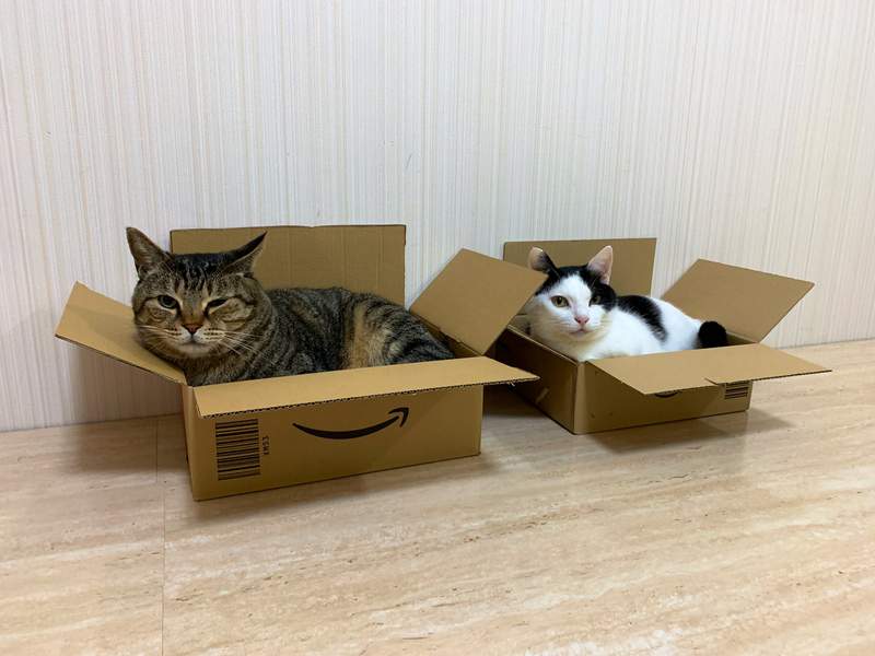 圖片2 圖片2