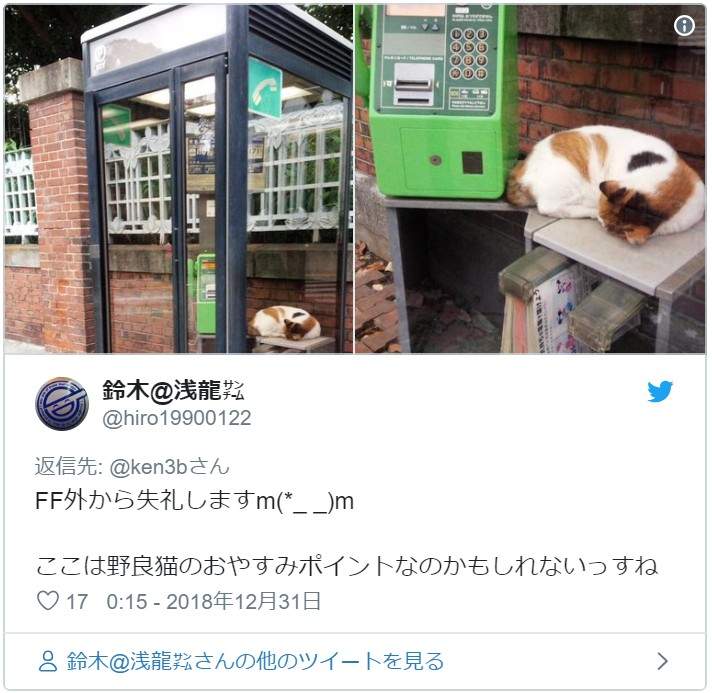 超好睡《电话亭里的猫》或许给了人类更多不要拆电话亭的理由... - 图片6 超好睡《电话亭里的猫》或许给了人类更多不要拆电话亭的理由...