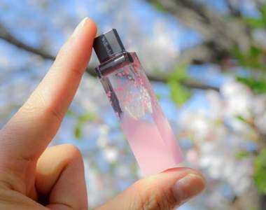 這個櫻花很美《春夏秋冬隨身碟》隨著四季變換USB也是一種潮( ̄ω ̄)