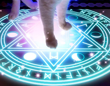 《從魔法陣召喚出了最喜歡的怪物》召喚出來以後的責任是很重的......