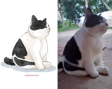 網路梗圖插畫化《喵星人的搞怪日常》每一隻貓貓都超鬧超可愛