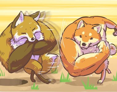 《右勾拳的柴犬》決鬥《肌肉狐狸》亂入《筋肉貓咪》真的要繼續連鎖下去了嗎XD