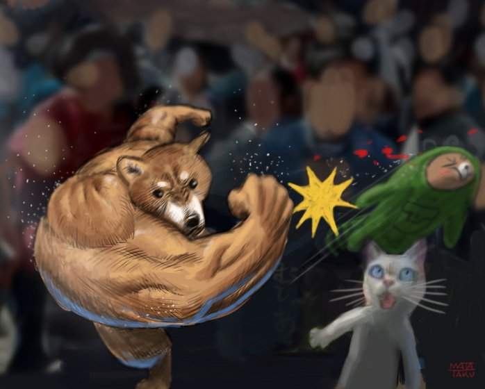 右勾拳的柴犬 決鬥 肌肉狐狸 亂入 筋肉貓咪 真的要繼續連鎖下去了嗎xd