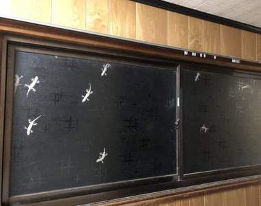 家中驚見《壁虎軍團》再繼續增加下去都快可以組成「壁虎48」惹吧ww