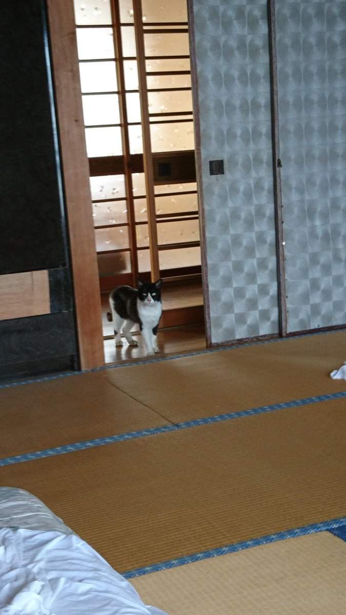 圖片2 圖片2