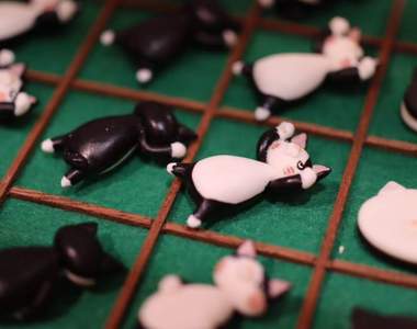 輸了也療癒《貓的黑白棋》看著貓咪被翻過來又翻過去，輸贏都無所謂惹❤