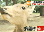 《奈良鹿仙貝漲價》150圓一口氣漲到200圓 廠商苦撐28年希望觀光客諒解…… 《奈良鹿仙貝漲價》150圓一口氣漲到200圓 廠商苦撐28年希望觀光客諒解……