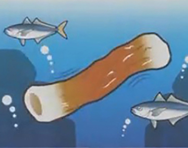 《小學生沒常識》竹輪水中游、馬鈴薯長樹上 全都怪日本媽媽逐漸不煮菜？