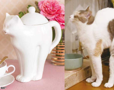《貓伸懶腰茶壺》完全再現喵剛睡醒時那拱起背部的舒爽姿勢