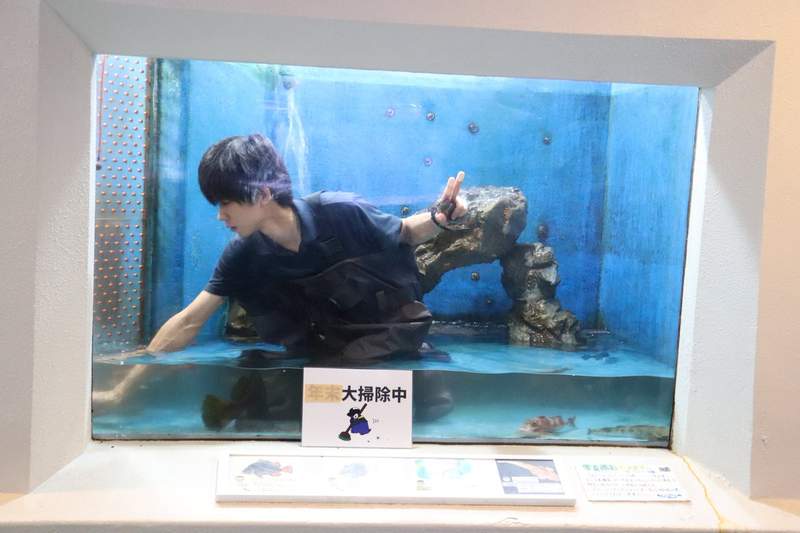 圖片2 圖片2