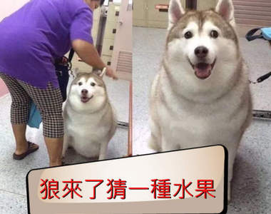 宅宅新聞《請高手出題》廢到笑LINE貼文串的猜燈謎活動