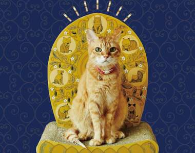 《佛光普照貓抓板》人類的奴性終於嚴重到把貓主子當神膜拜惹(合掌)