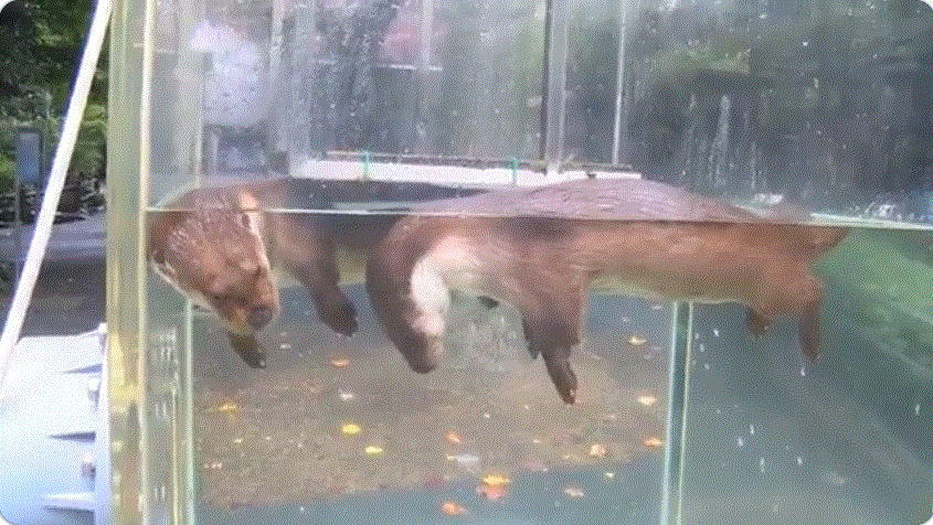 圖片2 圖片2