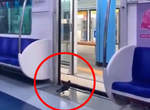 《鴿子搭電車》還懂得禮讓乘客的乘車禮儀,人類是否該多多學習ww 《鴿子搭電車》還懂得禮讓乘客的乘車禮儀,人類是否該多多學習ww