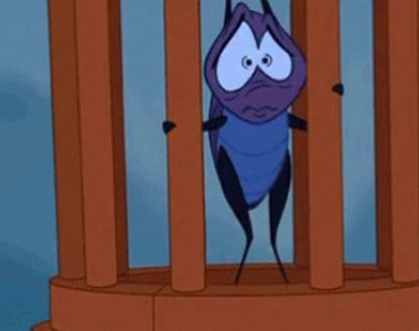 推特熱門《不小心在家放出250隻蟋蟀》如果明天沒發推 就是被老婆大人殺了