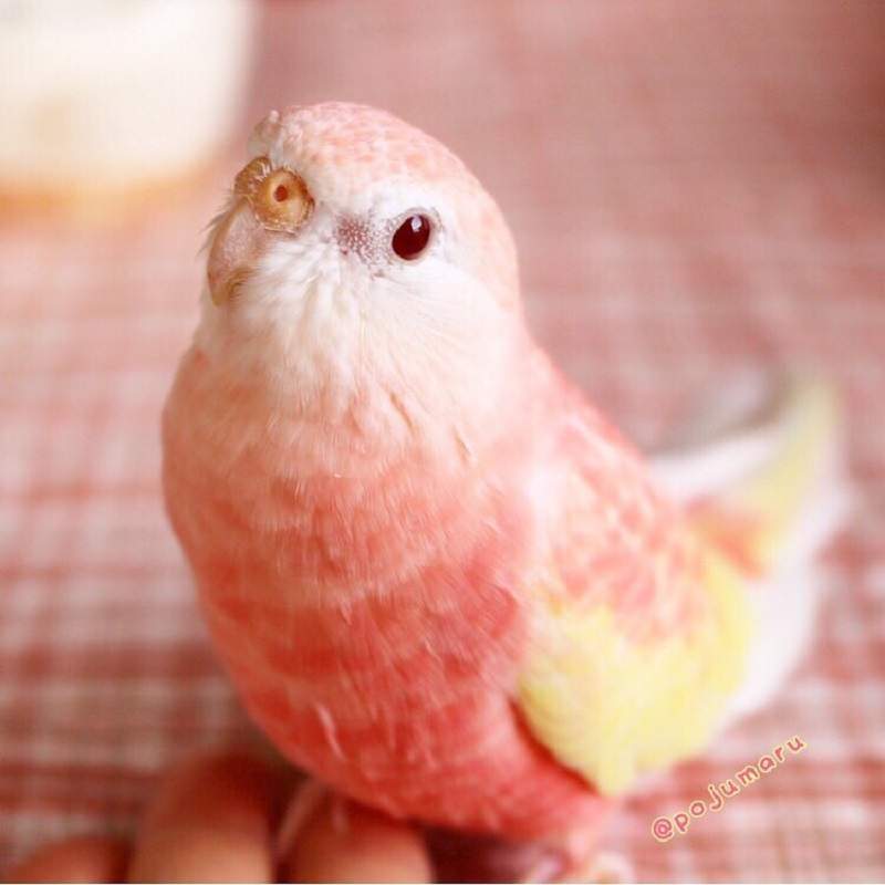 圖片1 圖片1