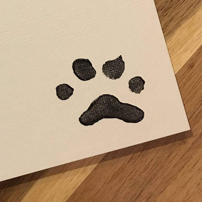 【有片】自己的罐罐自己赚《会画图的柴犬》汪界毕卡索赚进15万元 - 图片12 【有片】自己的罐罐自己赚《会画图的柴犬》汪界毕卡索赚进15万元