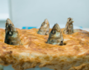 LINE貼文串《暗黑料理》所謂暗黑我想應該不是指顏色吧...