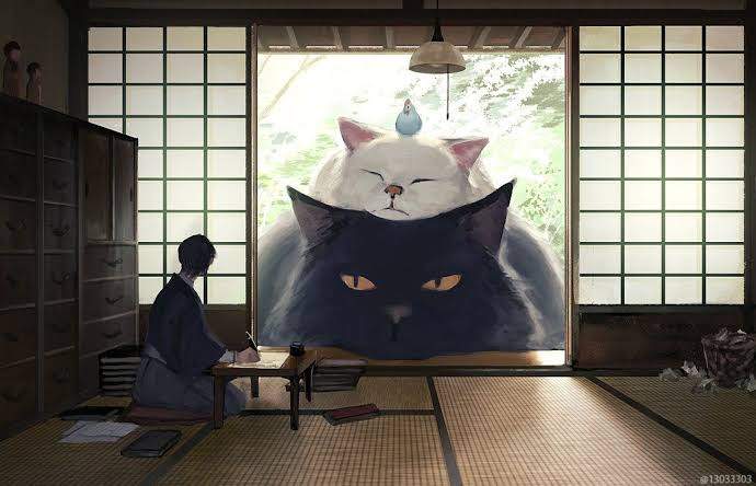 圖片2 圖片2