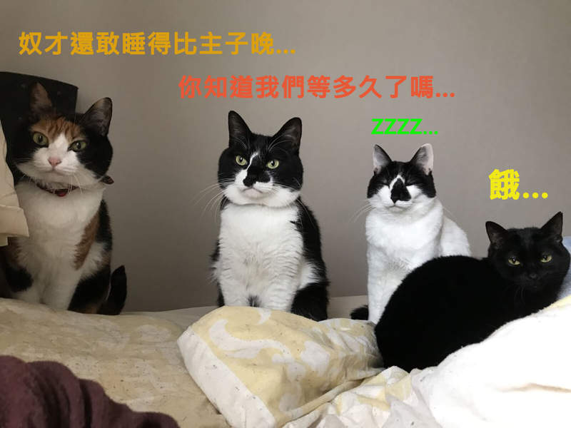 圖片2 圖片2