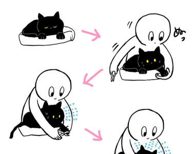 《貓咪剪指甲》喵最可愛的抵抗方式讓其他飼主羨慕不已❤