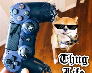 推特災情《被汪星人咬爛的手把》嘿嘿看看我表現的不差吧(笑)