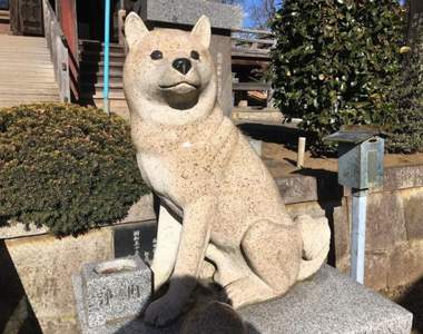 日本狗狗神社《板橋不動尊》境內可愛的狗狗雕像原來能為準媽媽們帶來好孕
