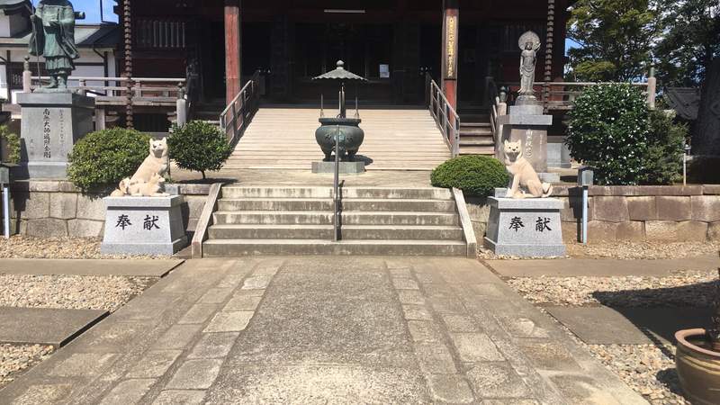 圖片2 圖片2