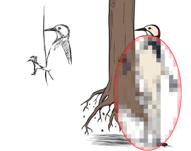 放棄型繪師《畫到一半就覺得好麻煩》但還是堅持畫完卻出現了各種奇型種生物XD