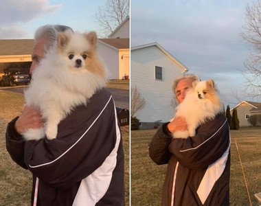 《老爸說養狗就要宰了我》釣出一大堆現在寵得不得了的故事w