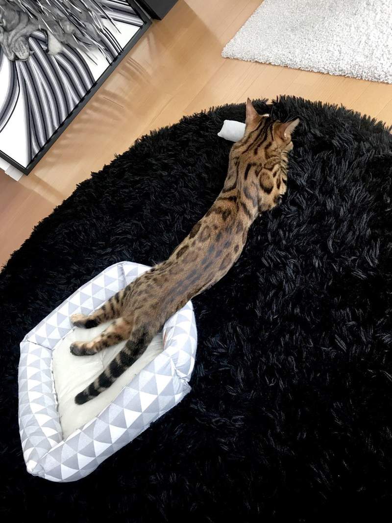 圖片2 圖片2