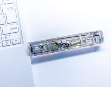 魚腦變成記憶體?《小魚乾隨身碟》重要資料全部寫入小魚乾腦內...