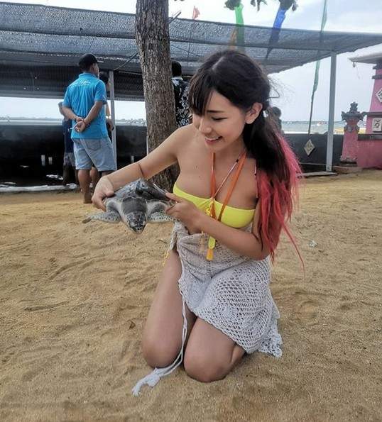 圖片1 圖片1