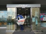 台灣吉祥物《魚頭君》日本出道~會不會從日本紅回台灣呢? 台灣吉祥物《魚頭君》日本出道~會不會從日本紅回台灣呢?