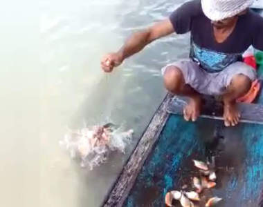 【有片】超絕恐怖《大叔教你釣食人魚的方法》這一失足肯定會被咬成史巴托吧(汗)