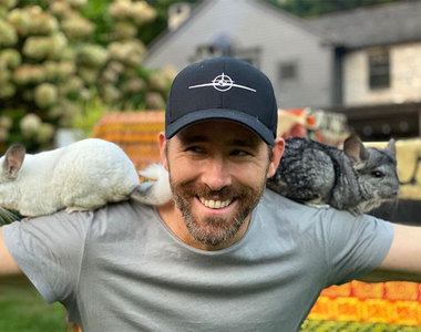 《萊恩雷諾斯提倡動物保育》IG表示動保團體有個不得了的動物，看起來很像某演員...