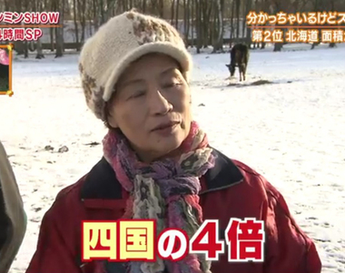 《北海道真的超級大》觀光客規畫行程不動腦 道民吐槽外地人小看北海道……